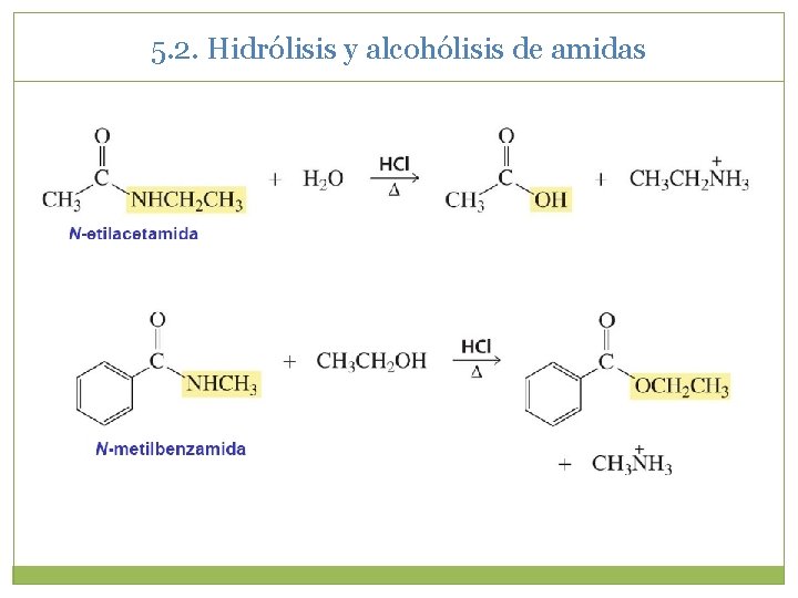 5. 2. Hidrólisis y alcohólisis de amidas 