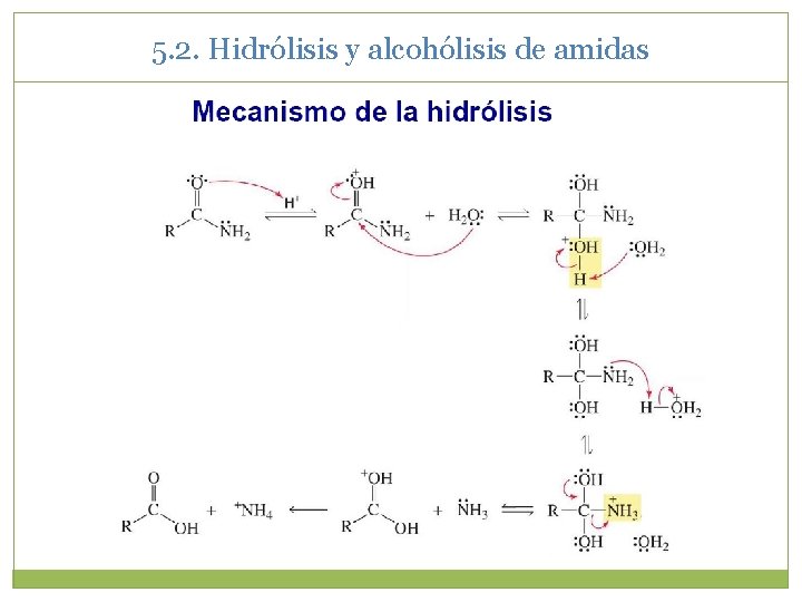 5. 2. Hidrólisis y alcohólisis de amidas 