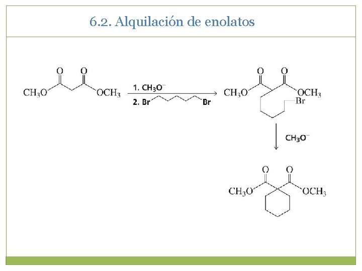 6. 2. Alquilación de enolatos 