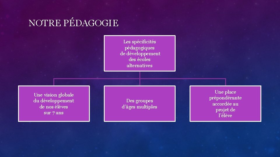 NOTRE PÉDAGOGIE Les spécificités pédagogiques de développement des écoles alternatives Une vision globale du