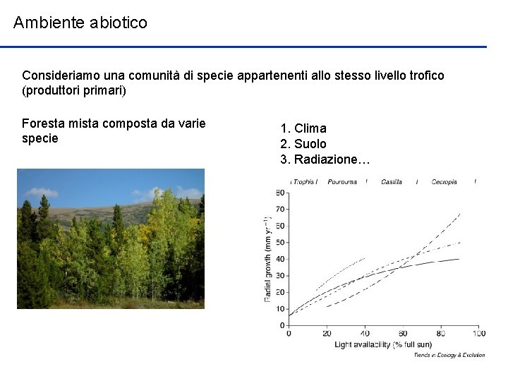 Ambiente abiotico Consideriamo una comunità di specie appartenenti allo stesso livello trofico (produttori primari)