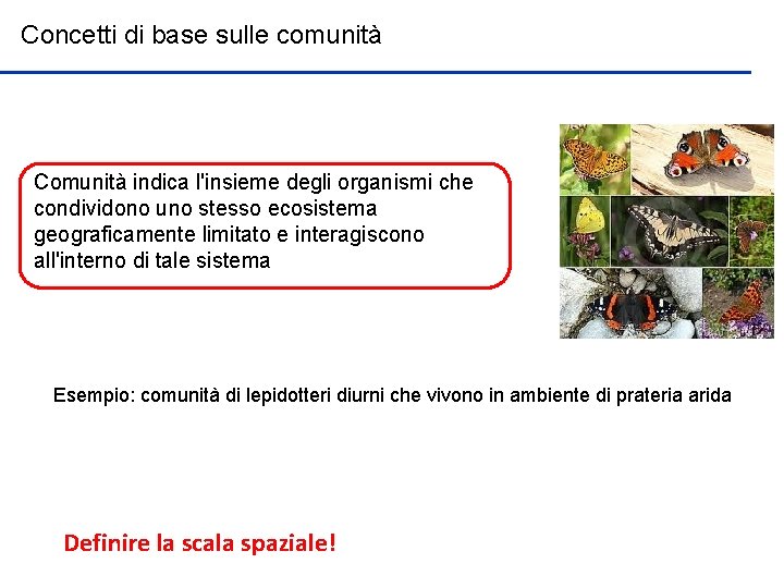 Concetti di base sulle comunità Comunità indica l'insieme degli organismi che condividono uno stesso