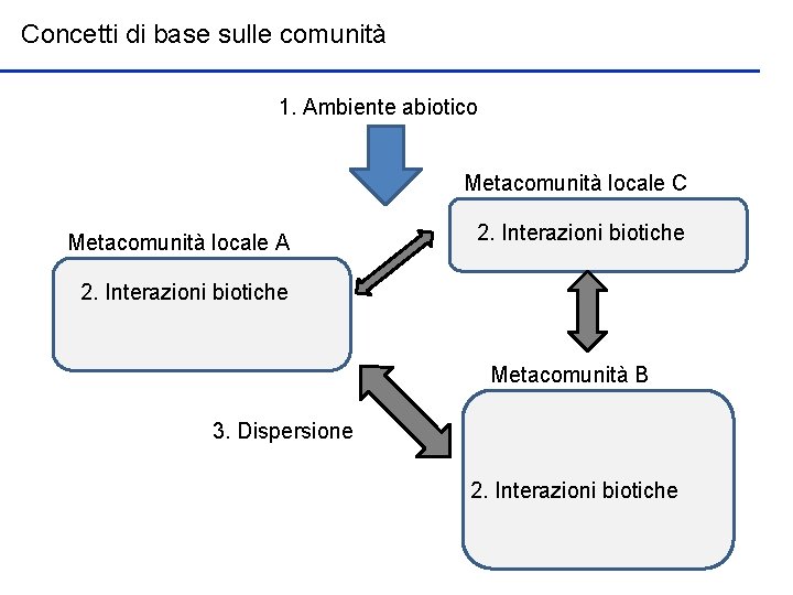 Concetti di base sulle comunità 1. Ambiente abiotico Metacomunità locale C Metacomunità locale A