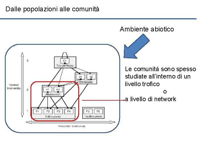 Dalle popolazioni alle comunità Ambiente abiotico Le comunitá sono spesso studiate all’interno di un