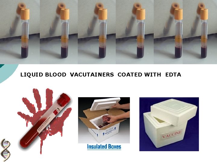 LIQUID BLOOD VACUTAINERS COATED WITH EDTA 