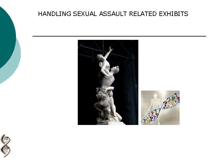 HANDLING SEXUAL ASSAULT RELATED EXHIBITS 
