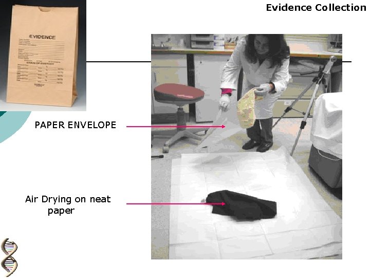 Evidence Collection PAPER ENVELOPE Air Drying on neat paper 
