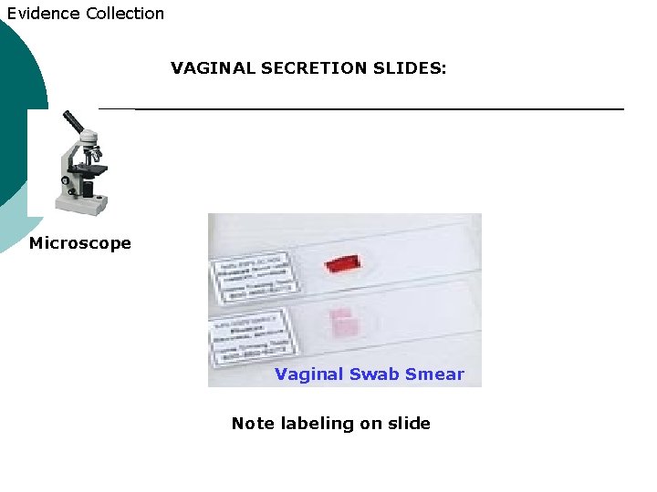 Evidence Collection VAGINAL SECRETION SLIDES: Microscope Vaginal Swab Smear Note labeling on slide 