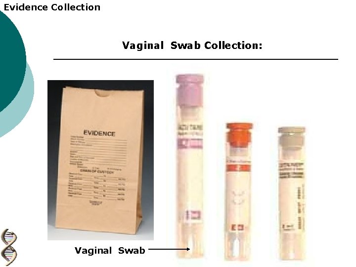 Evidence Collection Vaginal Swab Collection: Vaginal Swab 