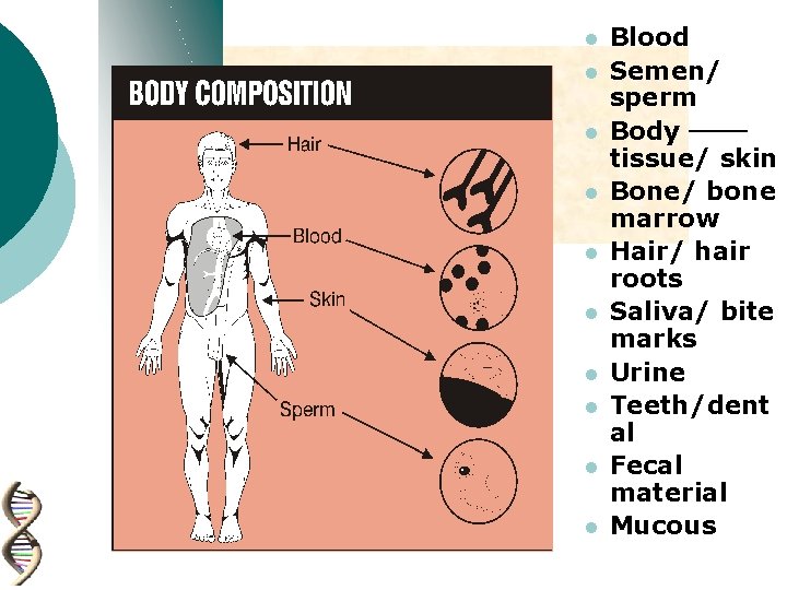 l l l l l Blood Semen/ sperm Body tissue/ skin Bone/ bone marrow