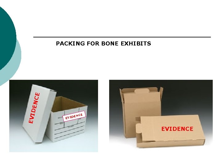 EVID ENC E PACKING FOR BONE EXHIBITS E ENC EVIDENCE 