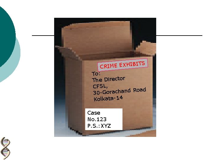 BITS I H X E E M I R C To: The Director CFSL,