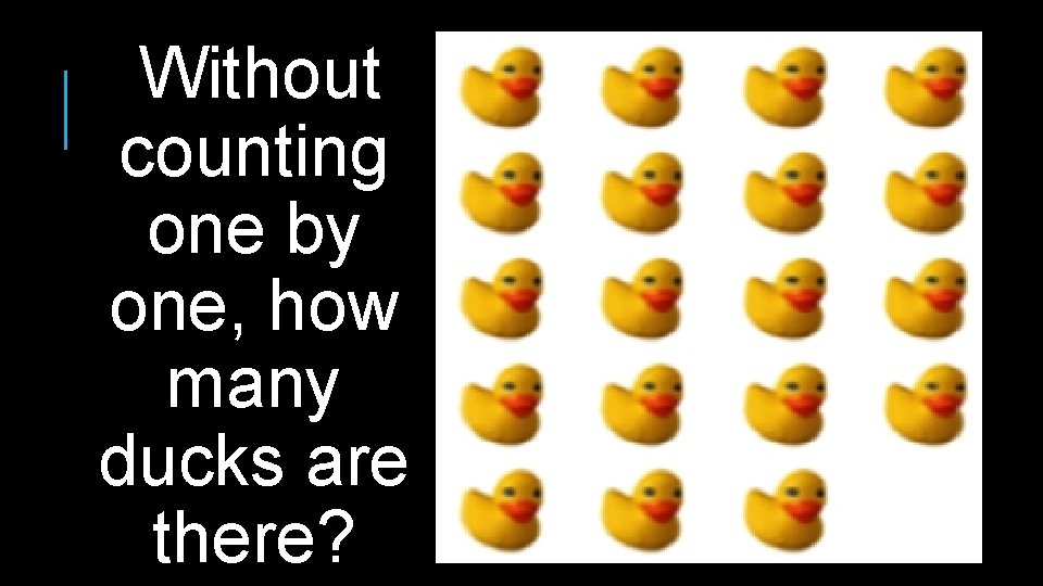  Without counting one by one, how many ducks are there? 