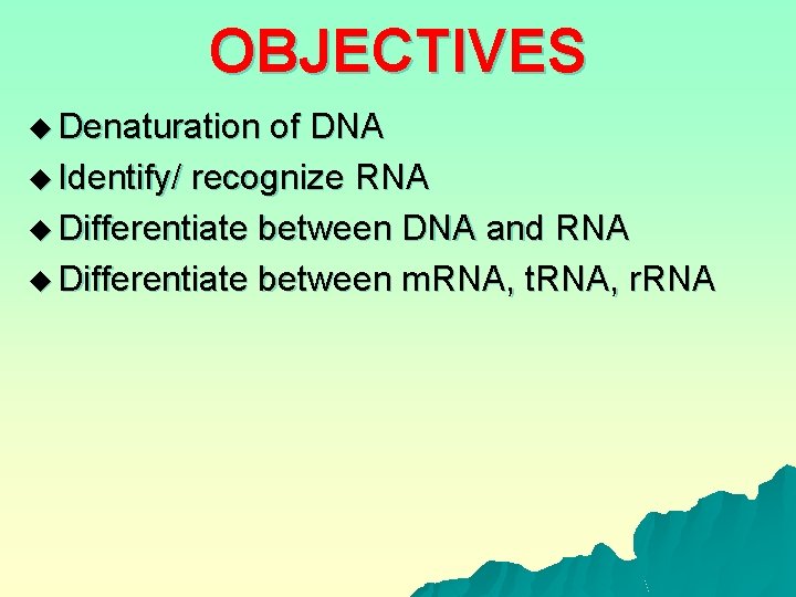 OBJECTIVES u Denaturation of DNA u Identify/ recognize RNA u Differentiate between DNA and