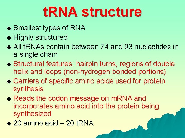 t. RNA structure Smallest types of RNA u Highly structured u All t. RNAs