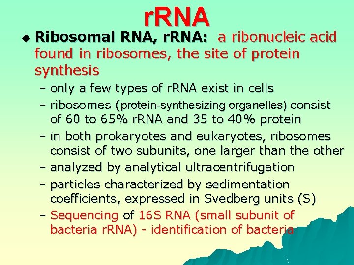 r. RNA u Ribosomal RNA, r. RNA: a ribonucleic acid found in ribosomes, the