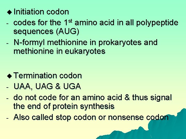 u Initiation - codon codes for the 1 st amino acid in all polypeptide
