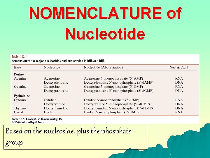 NOMENCLATURE of Nucleotide Based on the nucleoside, plus the phosphate group 