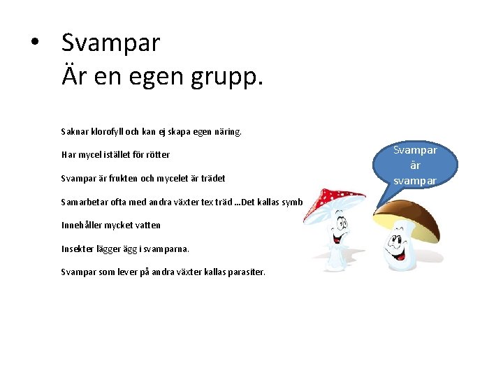  • Svampar Är en egen grupp. Saknar klorofyll och kan ej skapa egen