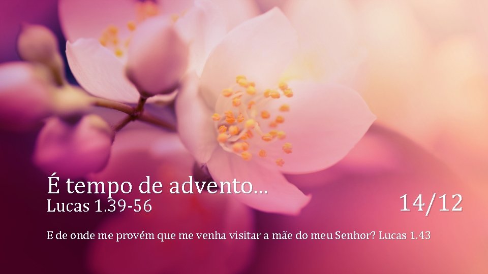 É tempo de advento. . . Lucas 1. 39 -56 14/12 E de onde