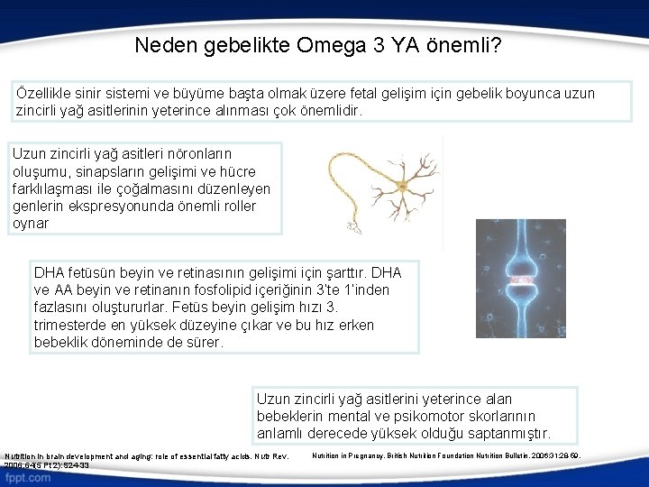 Neden gebelikte Omega 3 YA önemli? Özellikle sinir sistemi ve büyüme başta olmak üzere