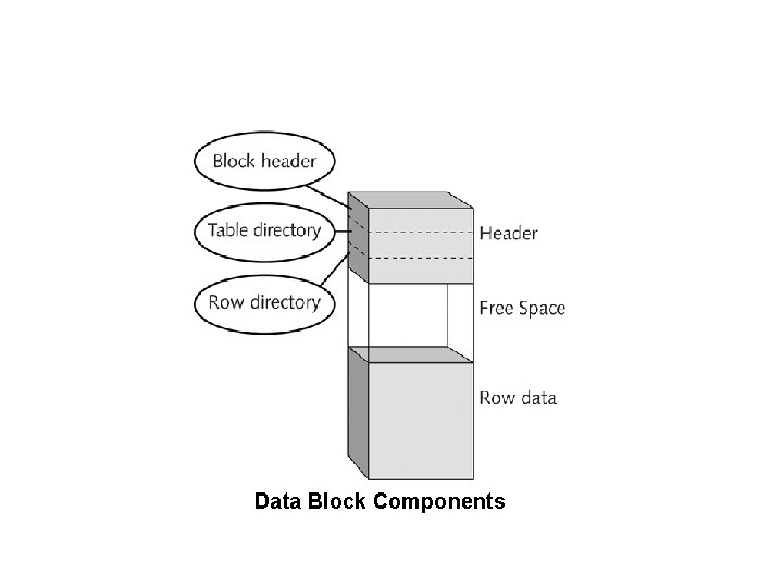 Data Block Components 