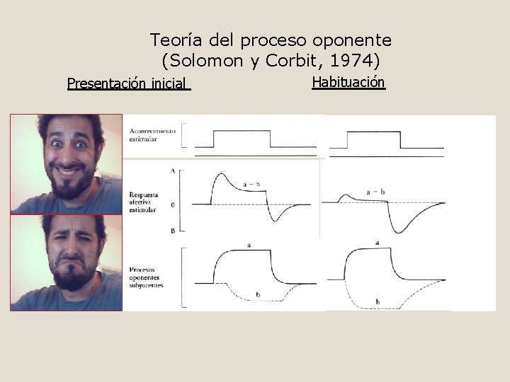 Teoría del proceso oponente (Solomon y Corbit, 1974) Presentación inicial Habituación 