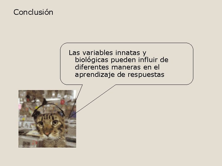 Conclusión Las variables innatas y biológicas pueden influir de diferentes maneras en el aprendizaje