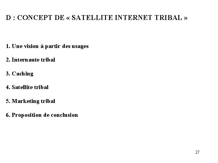 D : CONCEPT DE « SATELLITE INTERNET TRIBAL » 1. Une vision à partir