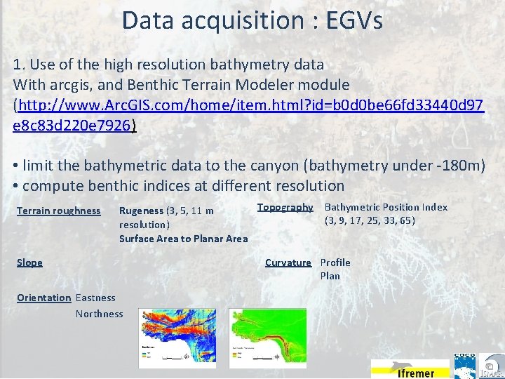 Data acquisition : EGVs 1. Use of the high resolution bathymetry data With arcgis,