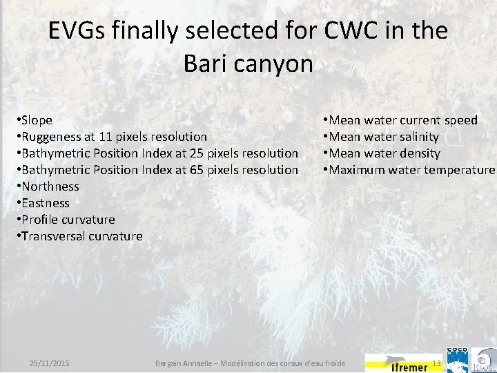 EVGs finally selected for CWC in the Bari canyon • Slope • Ruggeness at