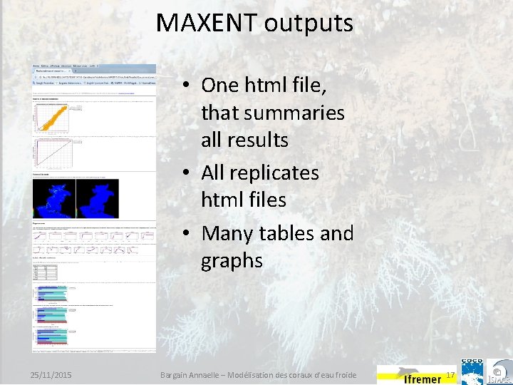 MAXENT outputs • One html file, that summaries all results • All replicates html