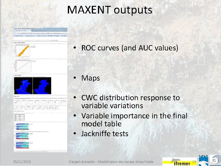 MAXENT outputs • ROC curves (and AUC values) • Maps • CWC distribution response