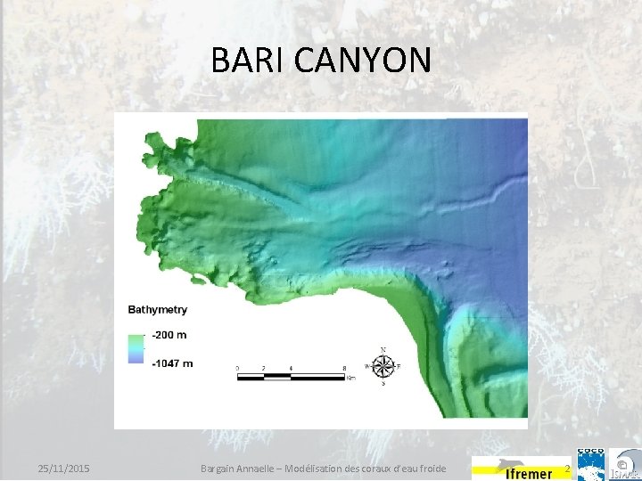 BARI CANYON 25/11/2015 Bargain Annaelle – Modélisation des coraux d’eau froide 2 