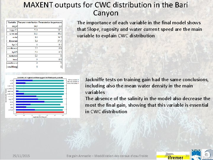 MAXENT outputs for CWC distribution in the Bari Canyon The importance of each variable