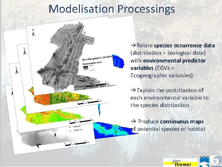 Modelisation Processings Relate species occurrence data (distribution = biological data) with environmental predictor variables