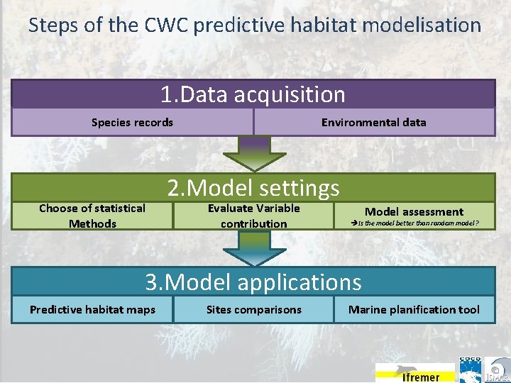 Steps of the CWC predictive habitat modelisation 1. Data acquisition • Méthode générale Species