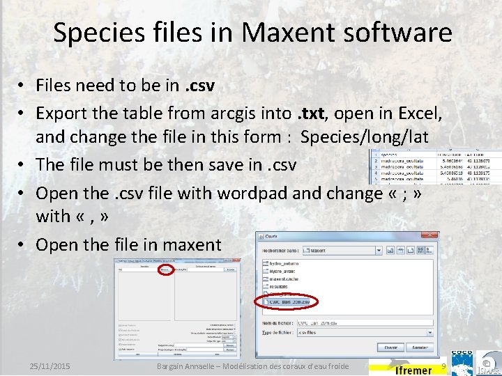 Species files in Maxent software • Files need to be in. csv • Export