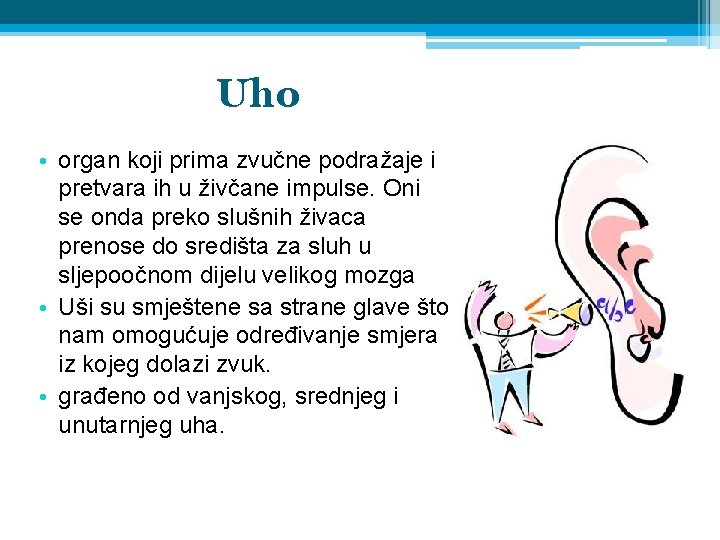 Uho • organ koji prima zvučne podražaje i pretvara ih u živčane impulse. Oni