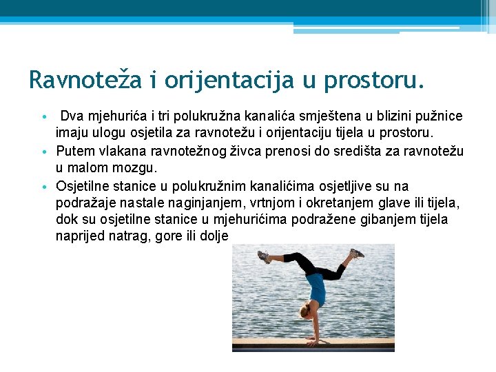 Ravnoteža i orijentacija u prostoru. • Dva mjehurića i tri polukružna kanalića smještena u