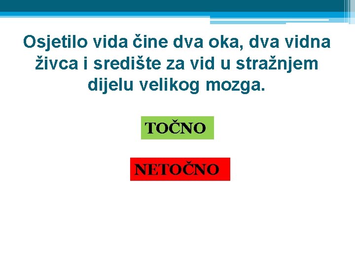 Osjetilo vida čine dva oka, dva vidna živca i središte za vid u stražnjem