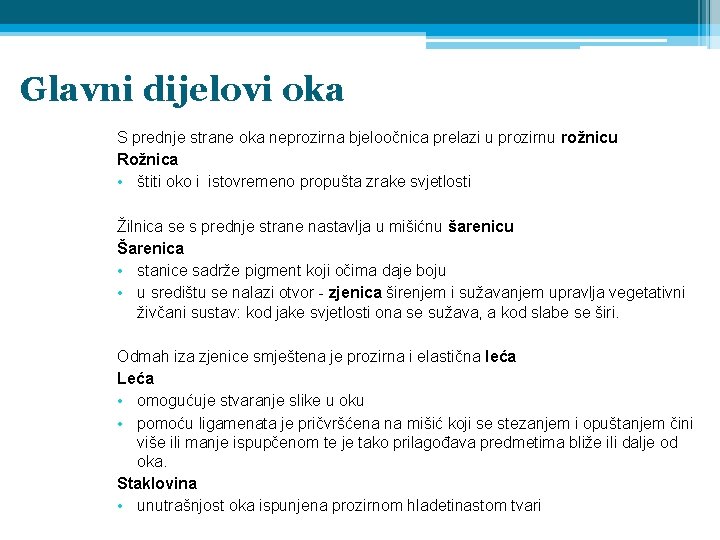 Glavni dijelovi oka S prednje strane oka neprozirna bjeloočnica prelazi u prozirnu rožnicu Rožnica