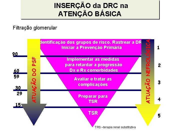 INSERÇÃO da DRC na ATENÇÃO BÁSICA Filtração glomerular 120 89 60 59 30 29