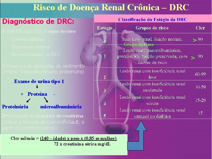 Risco de Doença Renal Crônica – DRC Diagnóstico de DRC: 1 -Identificação dos Grupos