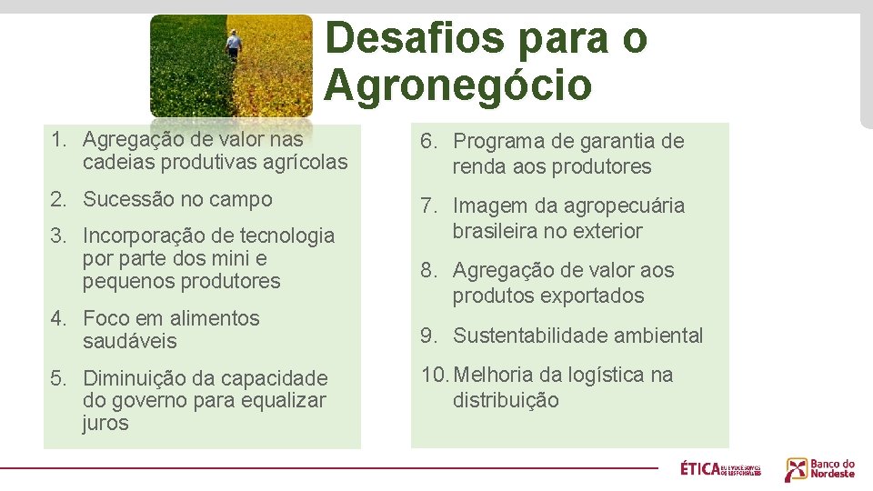 Desafios para o Agronegócio 1. Agregação de valor nas cadeias produtivas agrícolas 6. Programa