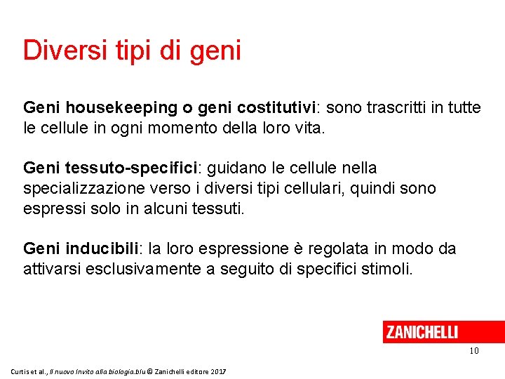 Diversi tipi di geni Geni housekeeping o geni costitutivi: sono trascritti in tutte le