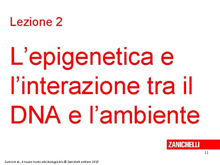 Lezione 2 L’epigenetica e l’interazione tra il DNA e l’ambiente 11 Curtis et al.