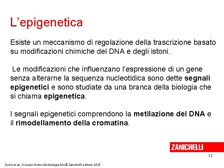 L’epigenetica Esiste un meccanismo di regolazione della trascrizione basato su modificazioni chimiche del DNA