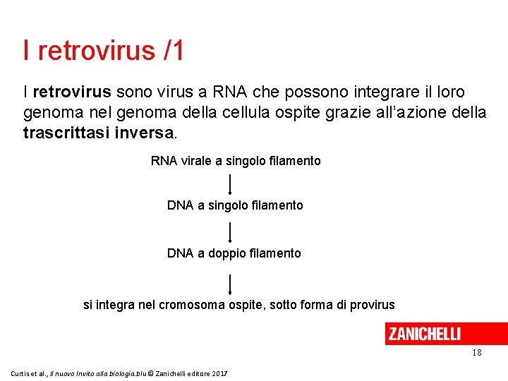 I retrovirus /1 I retrovirus sono virus a RNA che possono integrare il loro