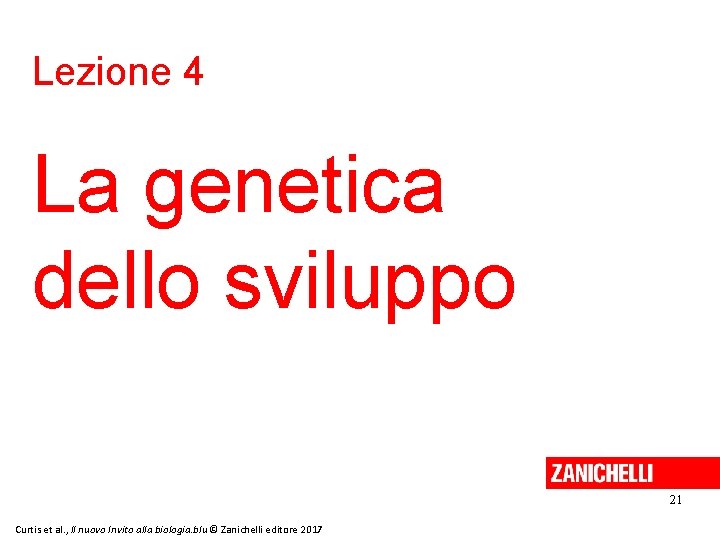 Lezione 4 La genetica dello sviluppo 21 Curtis et al. , Il nuovo Invito